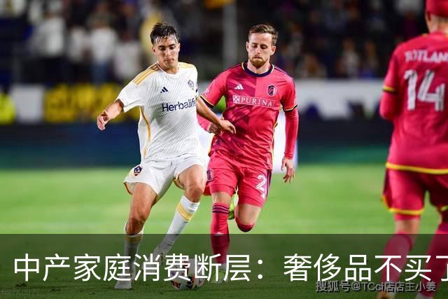 中产家庭消费断层：奢侈品不买了，但菜钱一分没少，钱花在哪了？