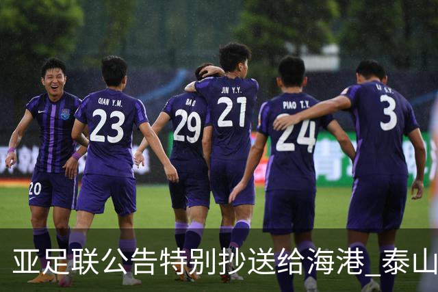 亚足联公告特别抄送给海港 泰山队尚有上诉可能
