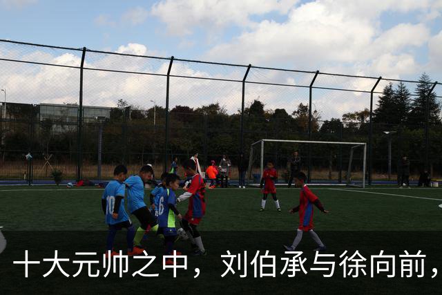 十大元帅之中，刘伯承与徐向前，读懂这份沉默的信任