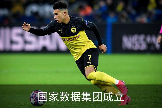 国家数据集团成立