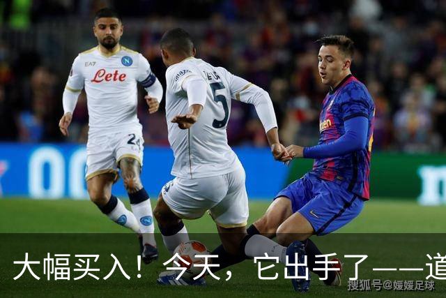 大幅买入！今天，它出手了——道达投资手记