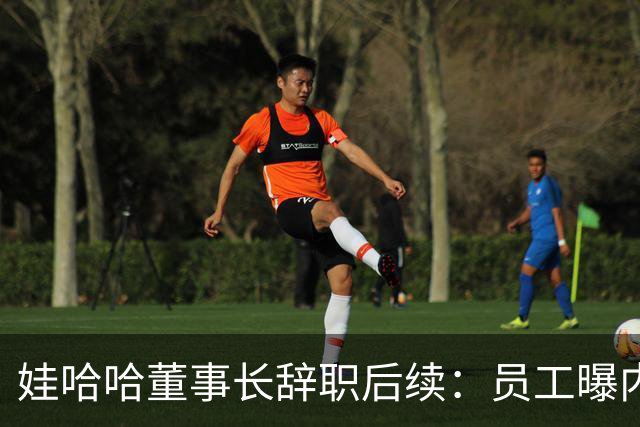 娃哈哈董事长辞职后续：员工曝内幕，宗馥莉派系，接班人细节流出
