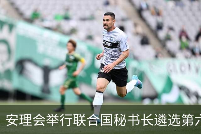 安理会举行联合国秘书长遴选第六轮意向性投票