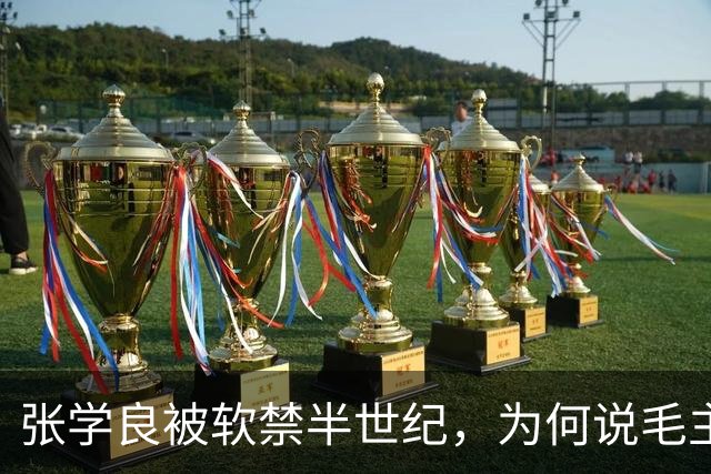 张学良被软禁半世纪，为何说毛主席有一本事蒋介石比不了