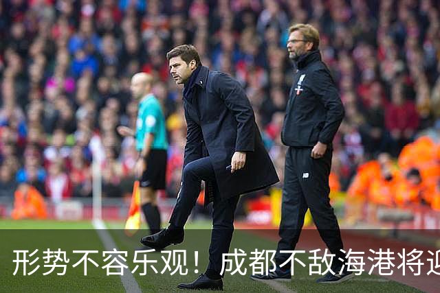 形势不容乐观！成都不敌海港将迎天王山之战，输球就要死磕泰山