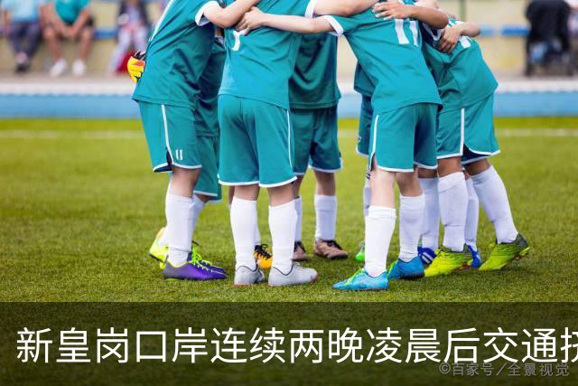 新皇岗口岸连续两晚凌晨后交通挤塞 议员吁旅客多留一晚消费