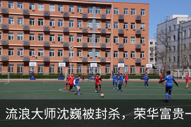 流浪大师沈巍被封杀，荣华富贵一场空