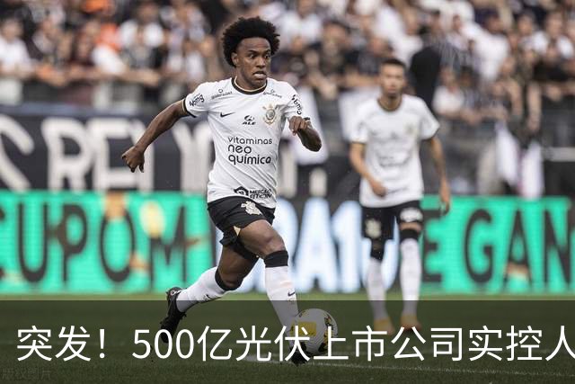 突发！500亿光伏上市公司实控人被批捕