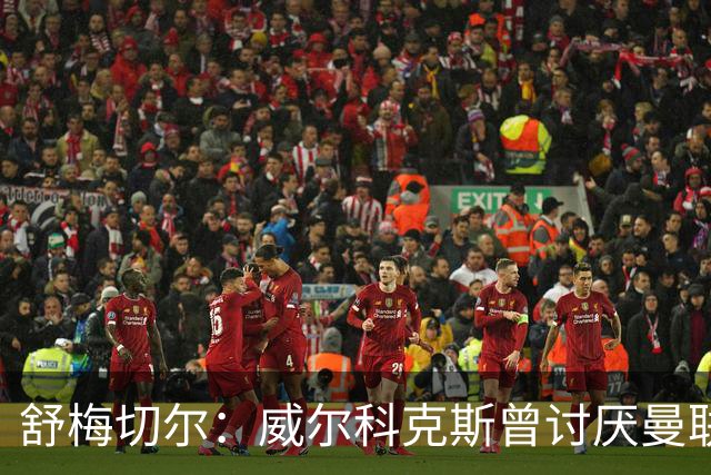 舒梅切尔：威尔科克斯曾讨厌曼联，为何如今却在曼联任职
