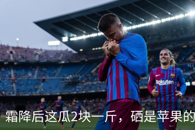 霜降后这瓜2块一斤，硒是苹果的14.5倍，几乎不打农药，很多人嫌它“长相怪”不懂吃