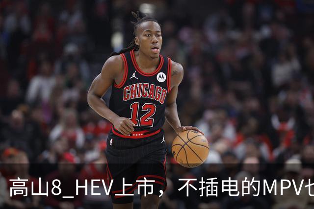 高山8 HEV上市，不插电的MPV也配激光雷达