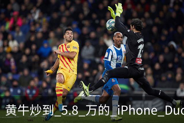 黄牛炒到 5.8 万的 iPhone Duo，为什么一夜之间就崩了？